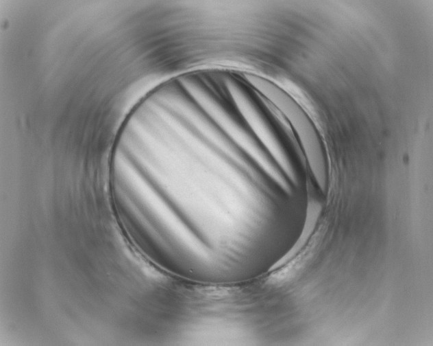 X0000088740862200706141701