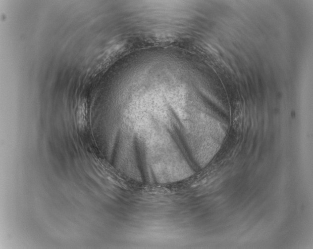 X0000088740866200706141701