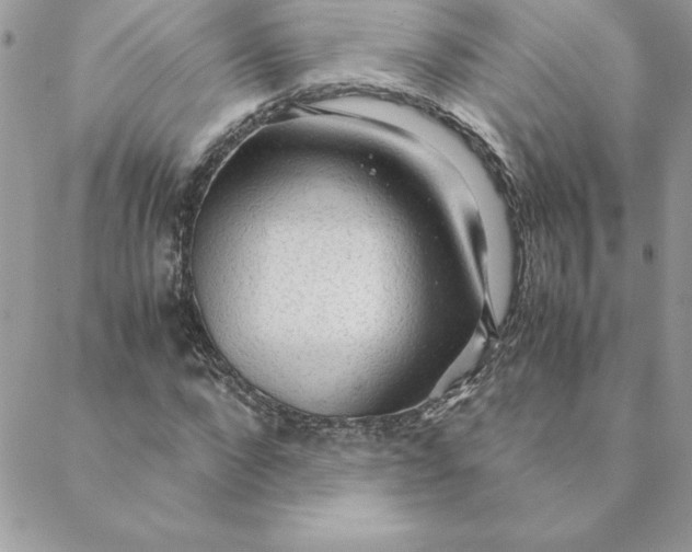 X0000088740872200706141700
