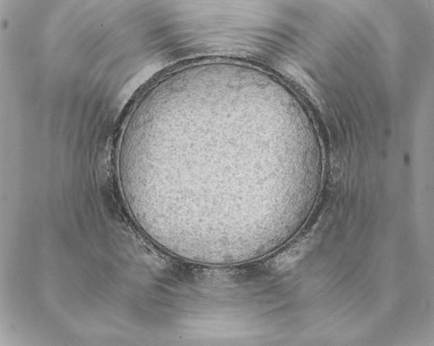 X0000088740875200706141700