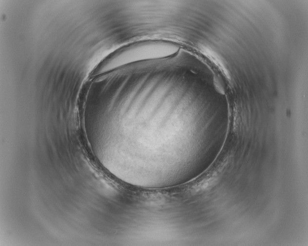 X0000088740876200706141700