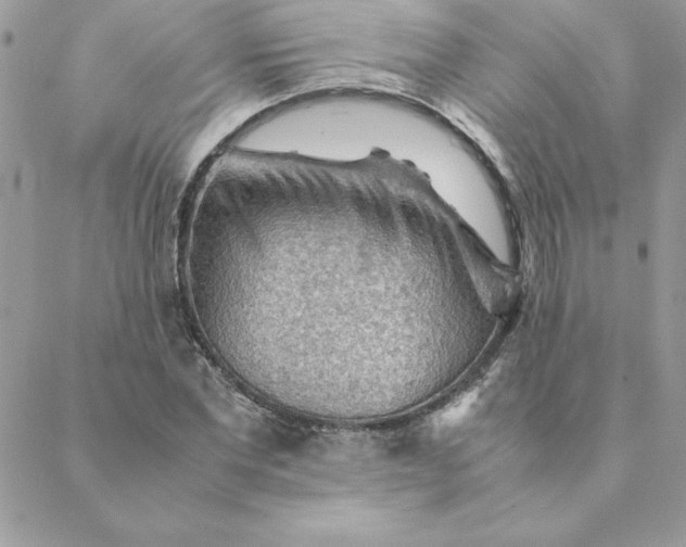 X0000088740877200706141700