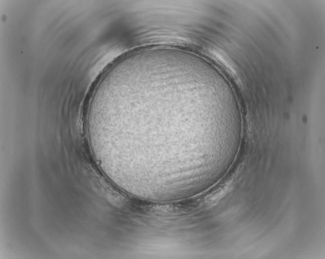 X0000088740883200706141700