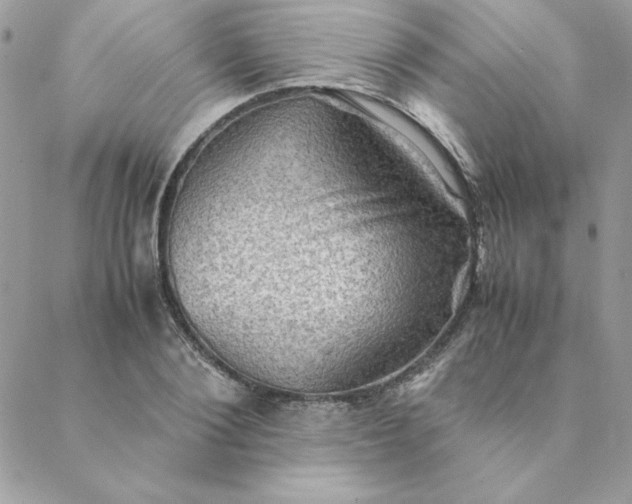 X0000088740884200706141700