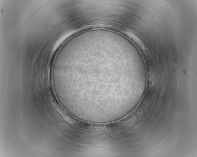 X0000088740886200706141700