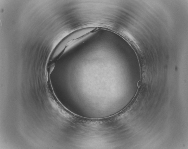 X0000088740892200706141700