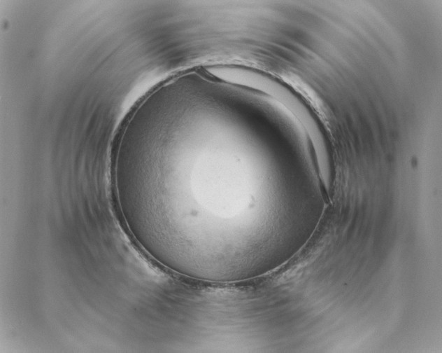 X0000088740894200706141700