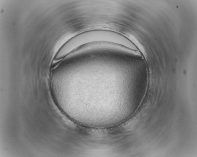 X0000088740901200706141700