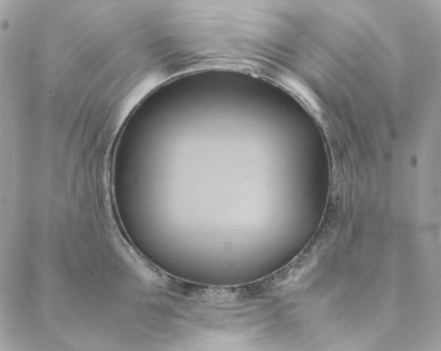 X0000088740907200706141700