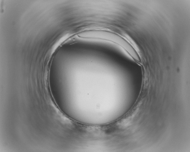 X0000088740909200706141700