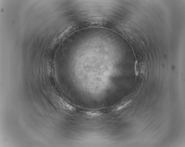 X0000088740916200706141659