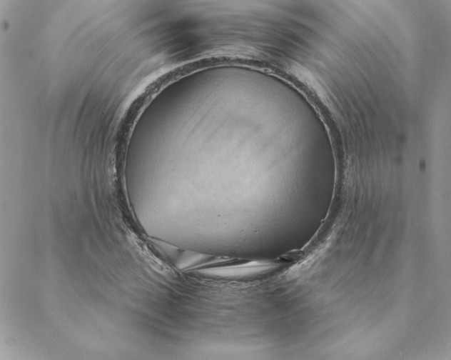 X0000088740923200706141659