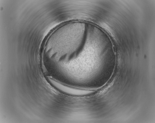 X0000088740924200706141659