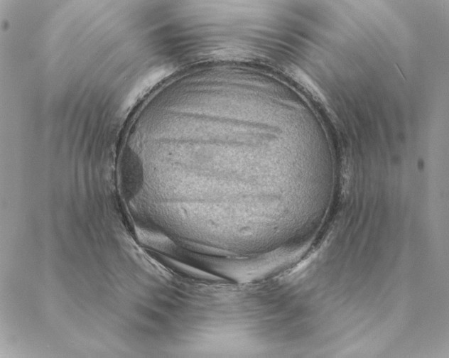X0000088740930200706141659