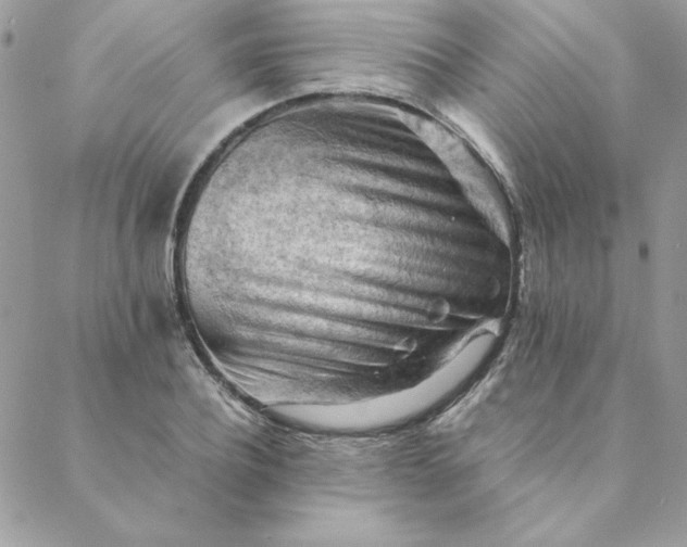 X0000088740932200706141659