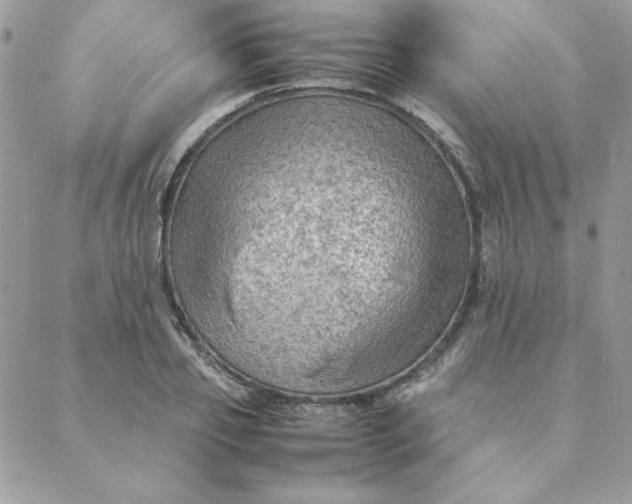 X0000088740933200706141659
