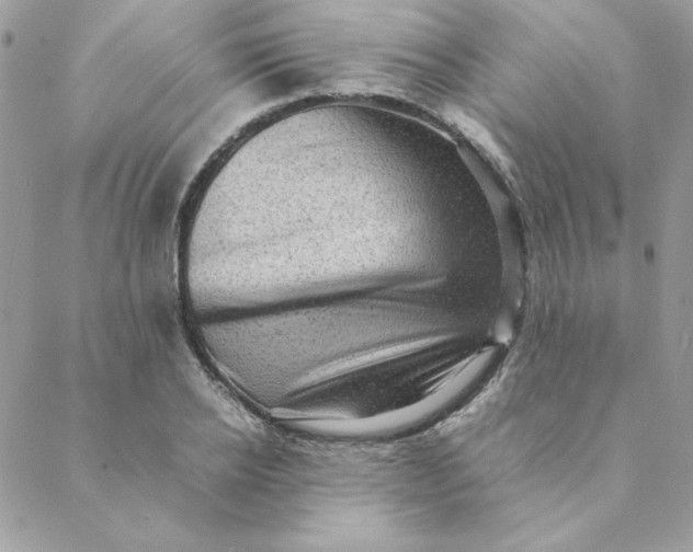 X0000088740934200706141659
