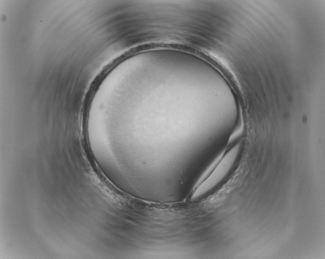 X0000088740935200706141659