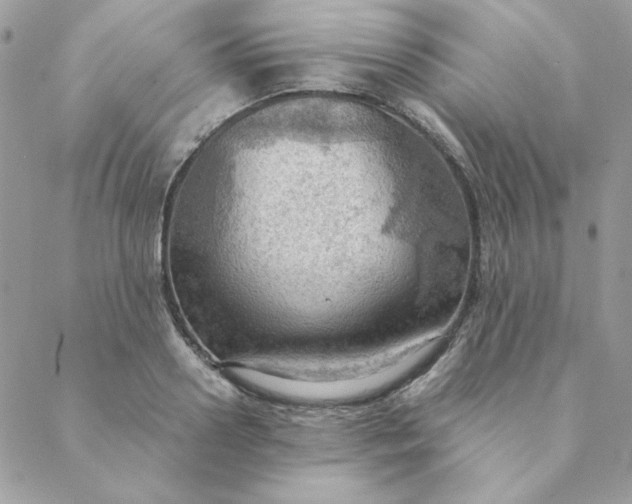 X0000088740938200706141659