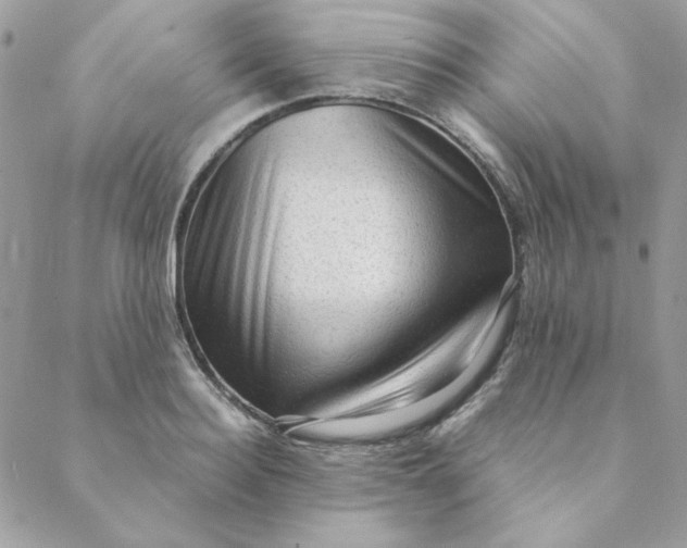 X0000088740940200706141659