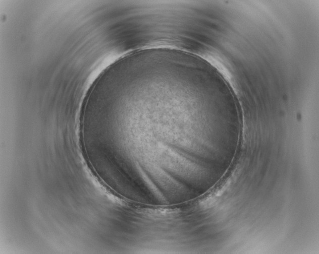 X0000088740949200706141700