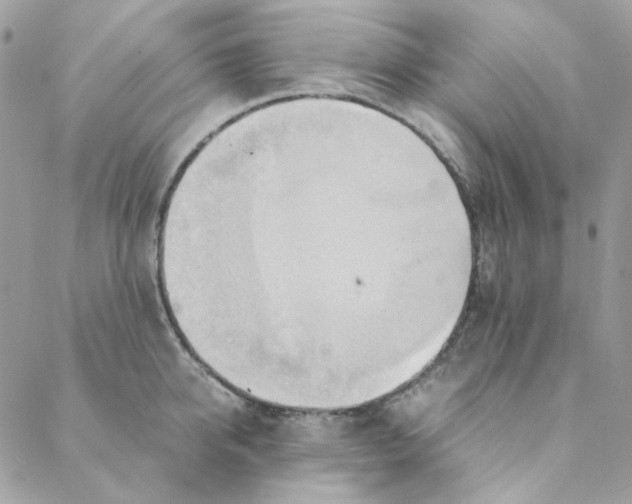 X0000088740950200706141700