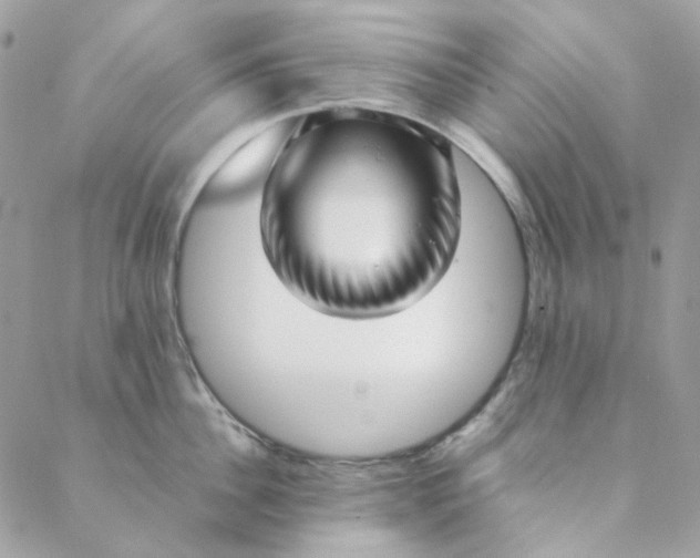 X0000088740956200706141700