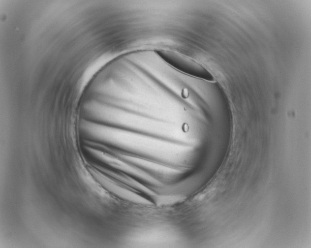 X0000088740960200706141700