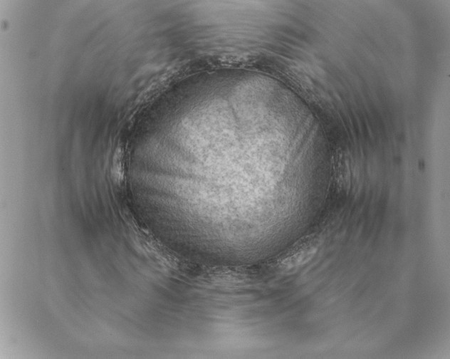 X0000088740962200706141659