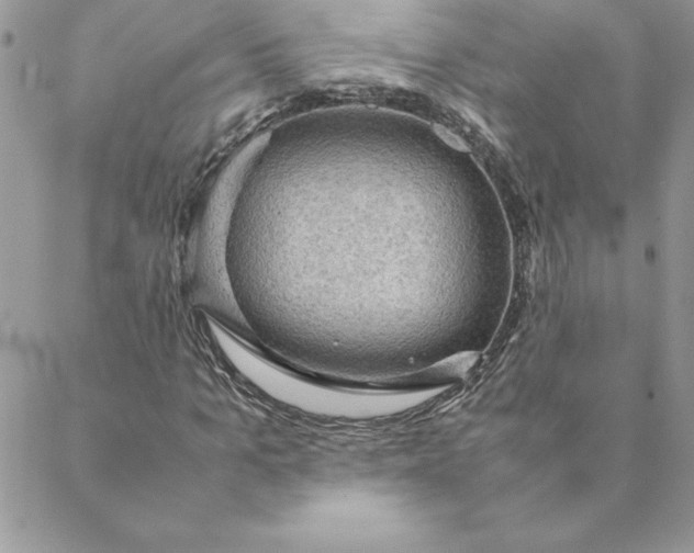 X0000088740965200706141659