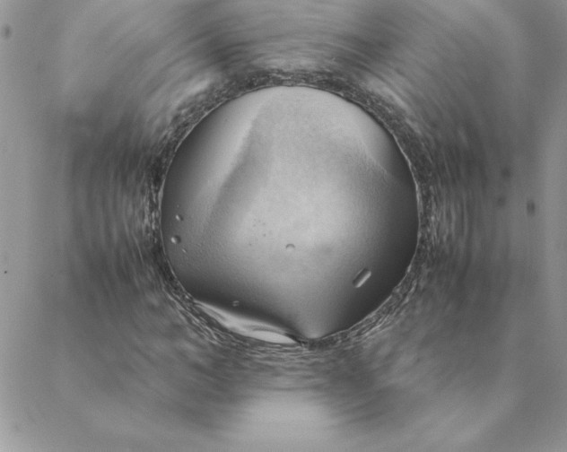 X0000088740966200706141659