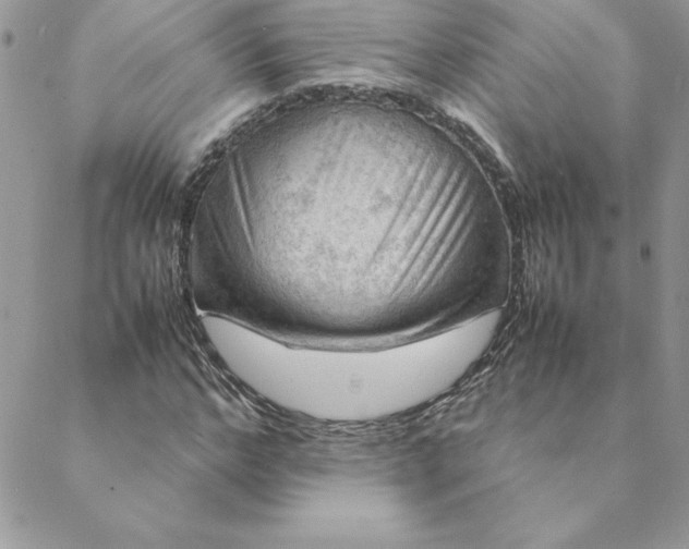 X0000088740968200706141659