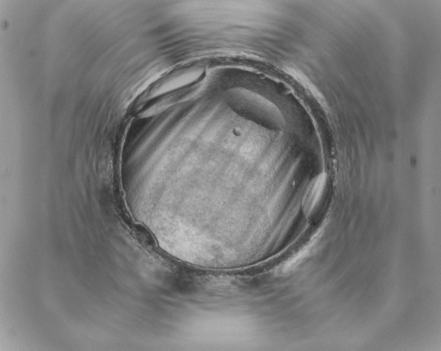 X0000088740969200706141659
