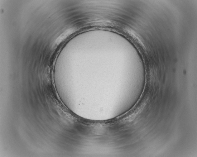 X0000088740970200706141659