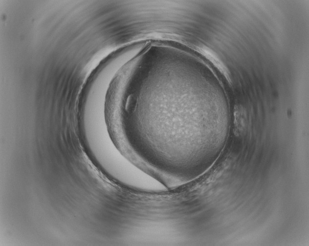X0000088740972200706141659