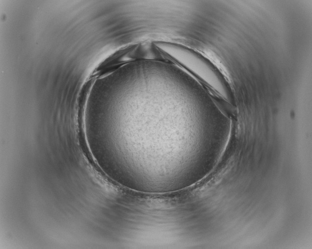 X0000088740976200706141659