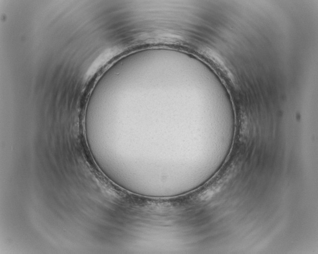 X0000088740978200706141659