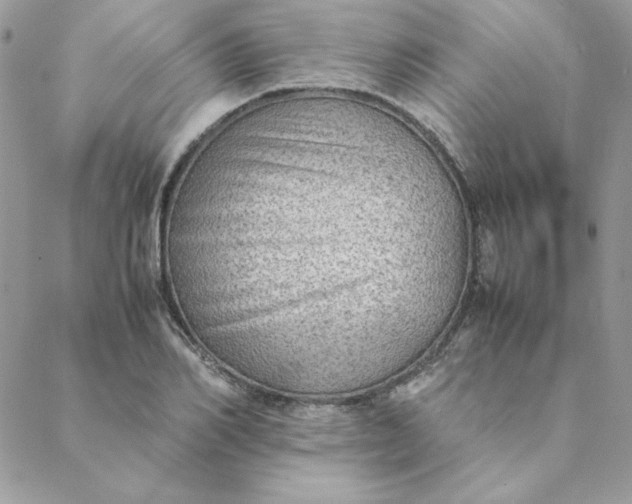 X0000088740982200706141659