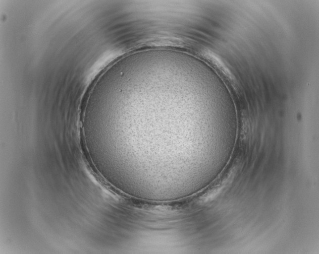 X0000088740986200706141659