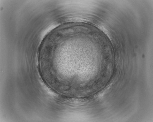 X0000088740987200706141659