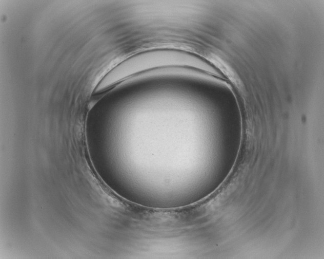 X0000088740993200706141658