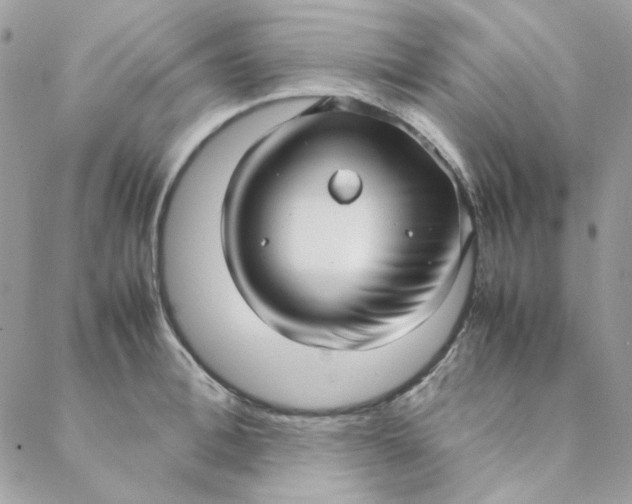X0000088740996200706141658