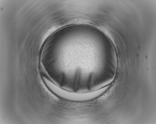 X0000088740997200706141658