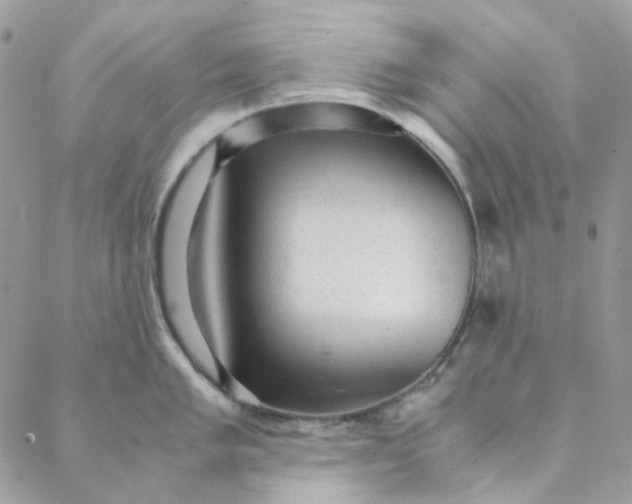 X0000088741005200706141658