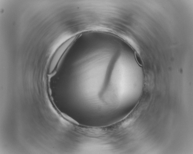 X0000088741007200706141658