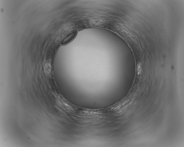 X0000088741011200706141657