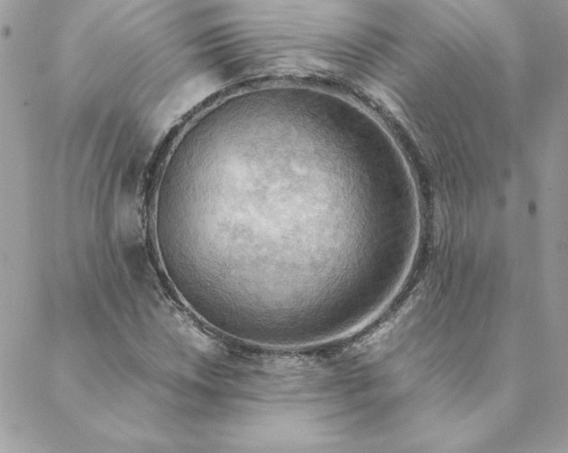 X0000088741018200706141658