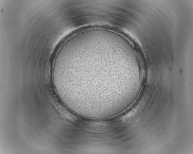 X0000088741021200706141658