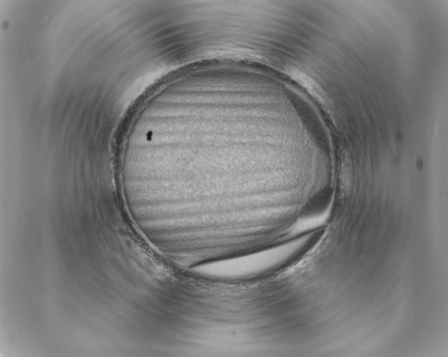 X0000088741022200706141658