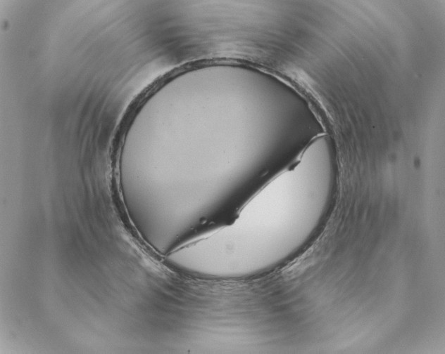 X0000088741024200706141658